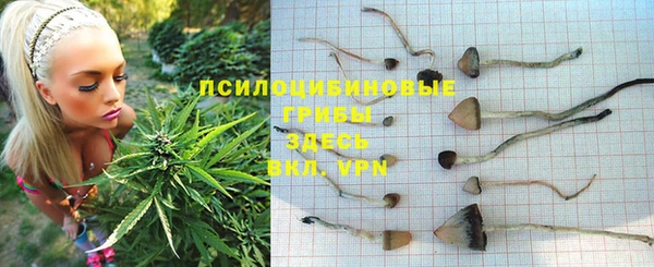 mdpv Абаза