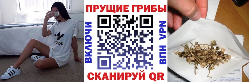 Галлюциногенные грибы Psilocybine cubensis  shop формула  Александровск 
